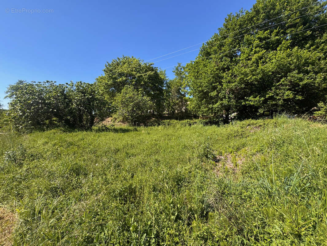 Terrain à PUYMERAS