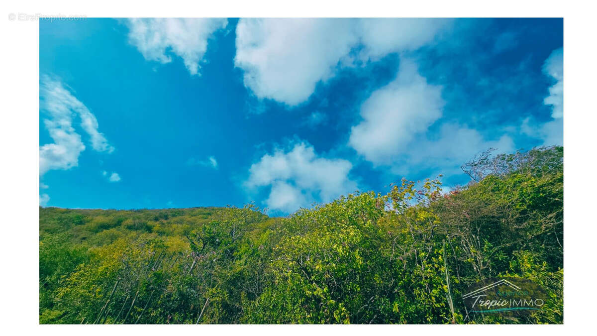Terrain à SAINT-MARTIN