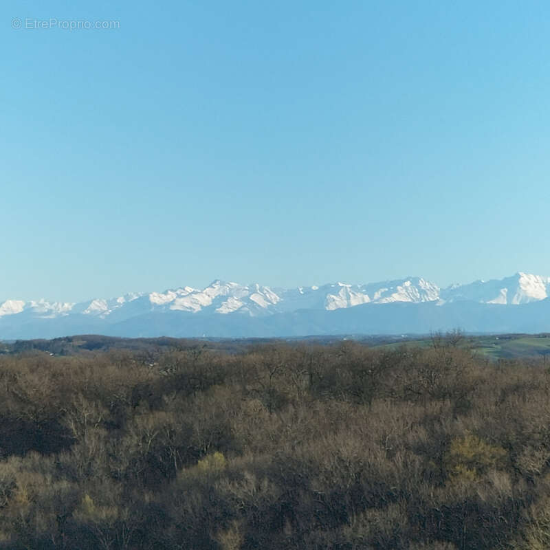 Maison et grandes bâtiments agricoles, terrain 5000m2, vue Pyrénées - photo 17