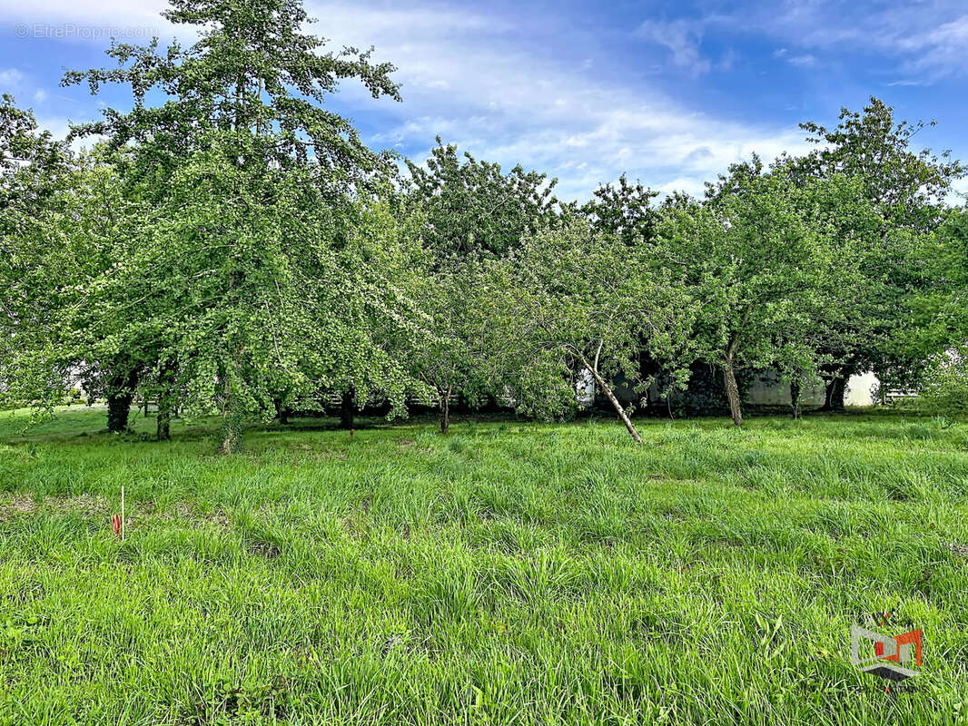 Terrain à CAVAN