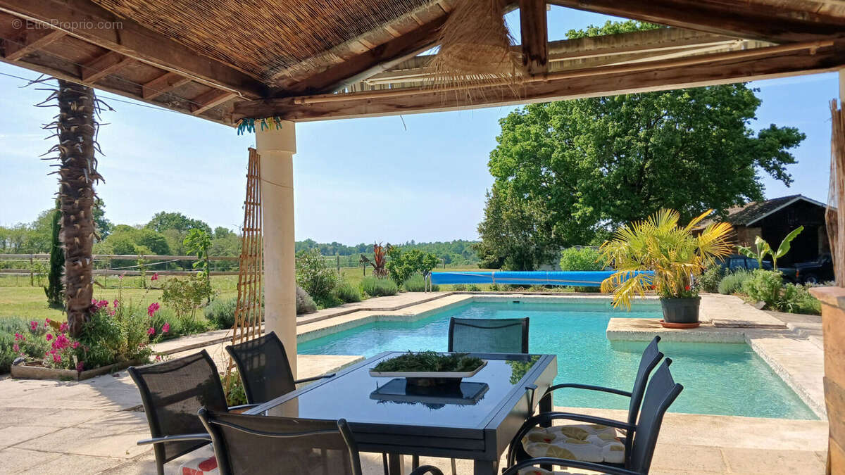 Propriété de charme : demeure principale, deux gîtes sur plus de 3 hectares - photo 3