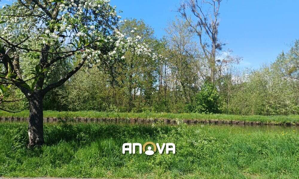 Maison 150 m² à Saverne  - photo 9