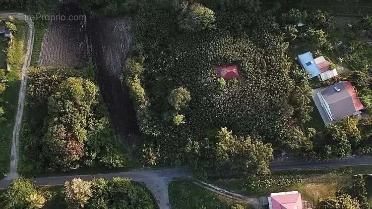 Terrain à SAINT-FRANCOIS