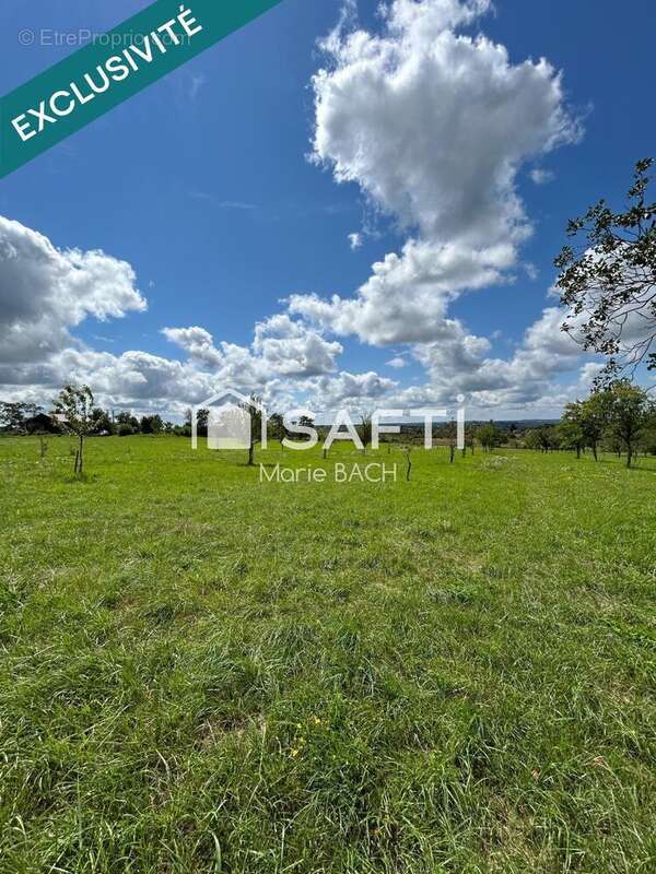 Photo 4 - Maison à SARRE-UNION