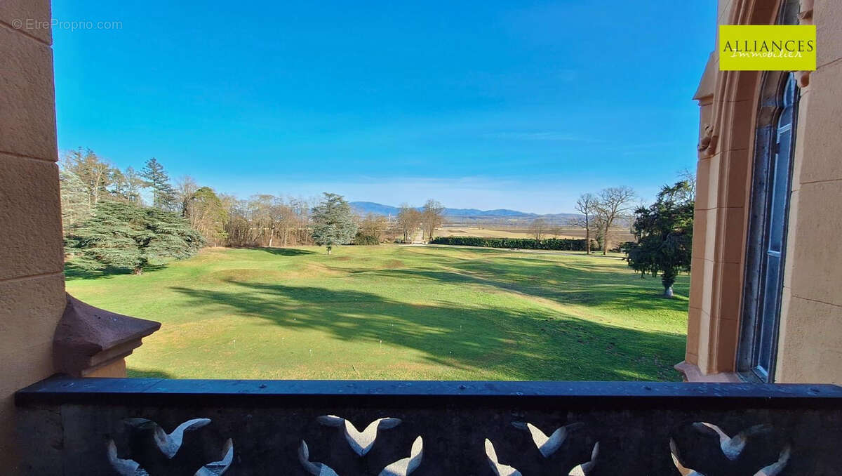 Commerce à HOMBOURG