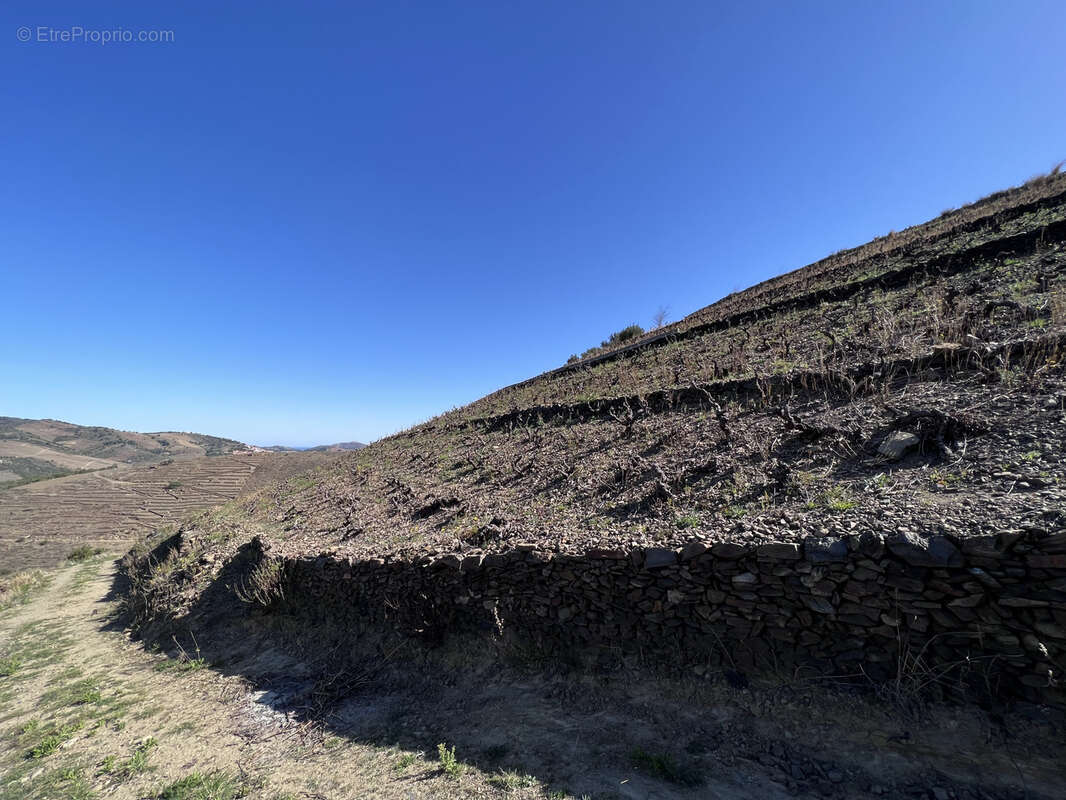 Terrain à BANYULS-SUR-MER