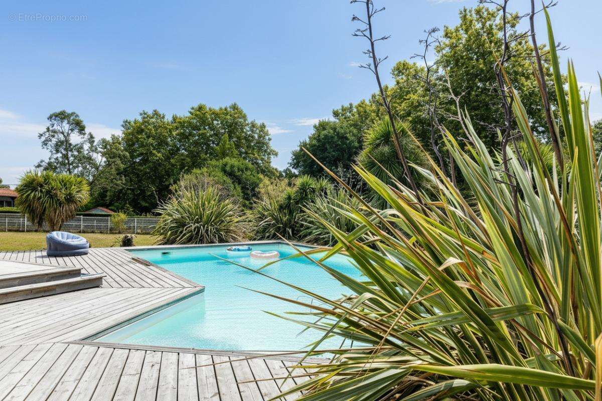Maison de Prestige avec Piscine - Proche Hossegor, Capbreton et Bayonne - photo 3