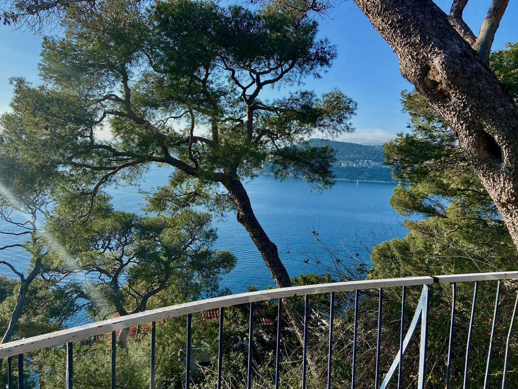 Cœur Saint-Jean Cap Ferrat magnifique projet de villa. - photo 7