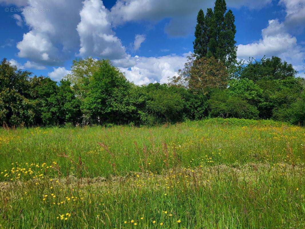 Terrain à SAINT-MARC-DU-COR