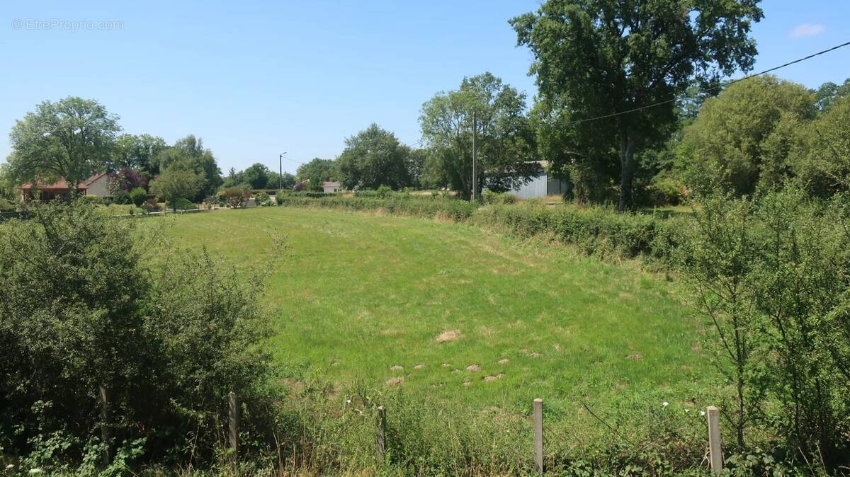 Terrain à SAINT-SULPICE-LES-FEUILLES