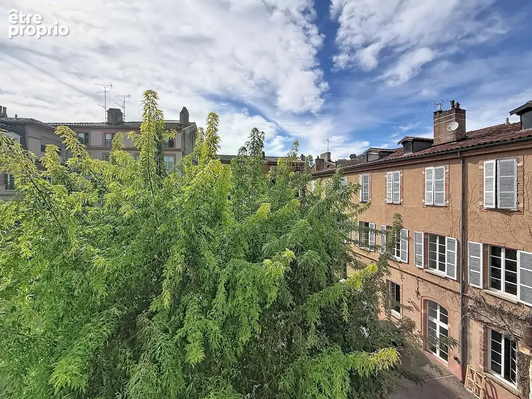 Capitole - T6 de 260 m² avec 2 parkings - photo 7