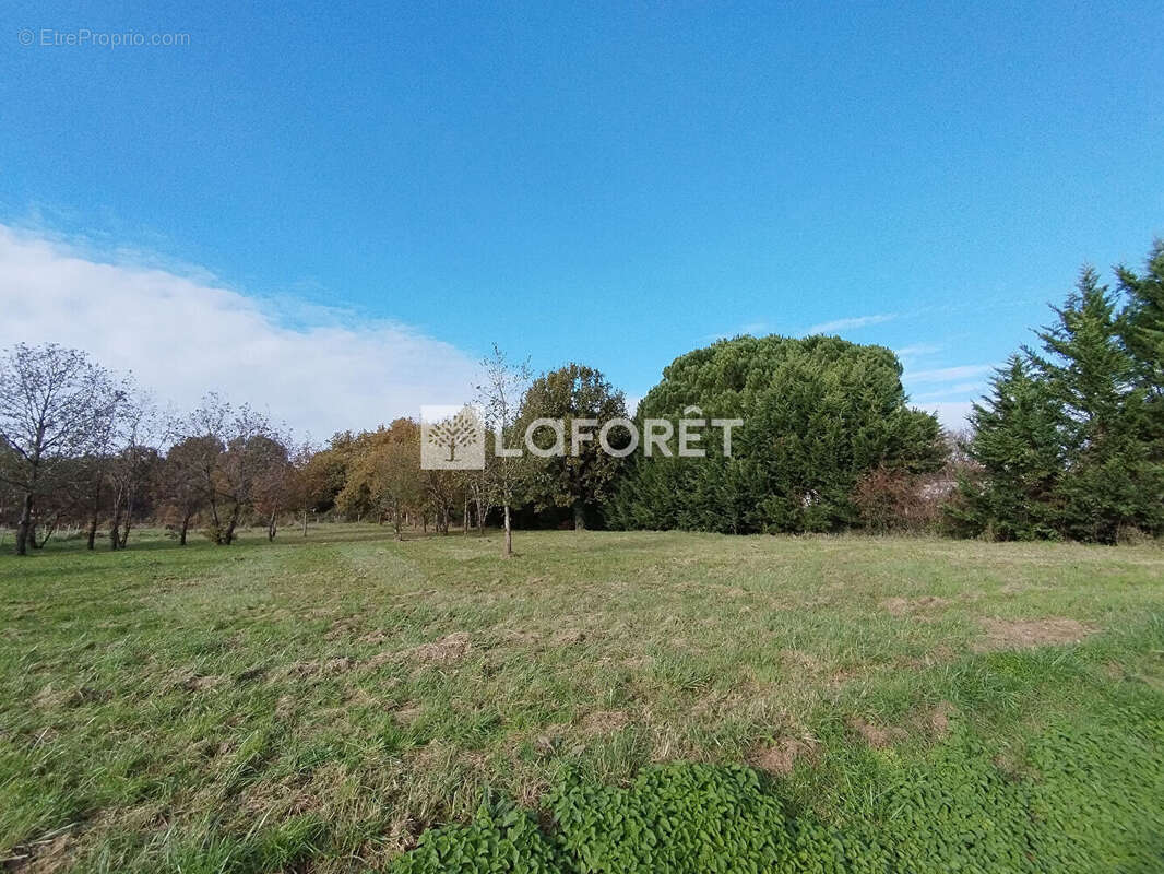 Terrain à CASTELSARRASIN