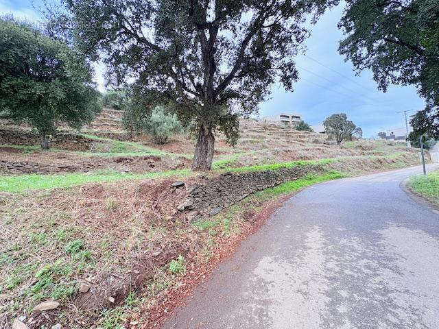 Terrain à BASTIA