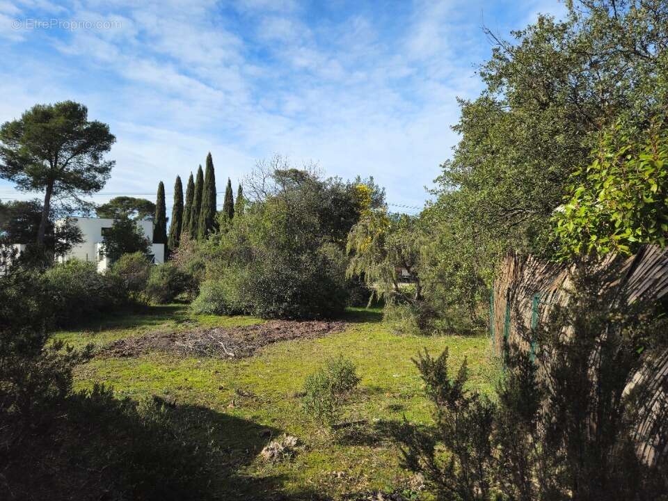 Terrain à LE CANNET-DES-MAURES