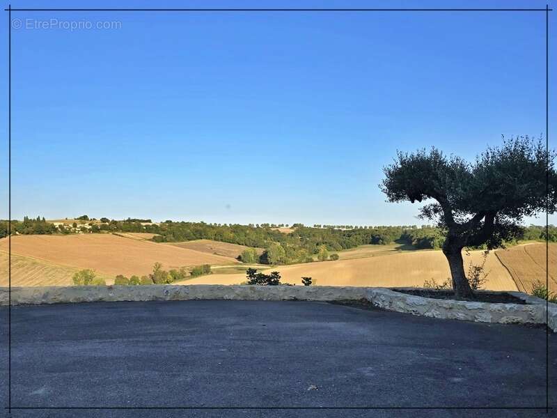 Domaine de prestige avec maison, gîte et dépendances, dans le Nord du Gers, à La Romieu, aux portes des Landes et du Lot-et-Garo - photo 26