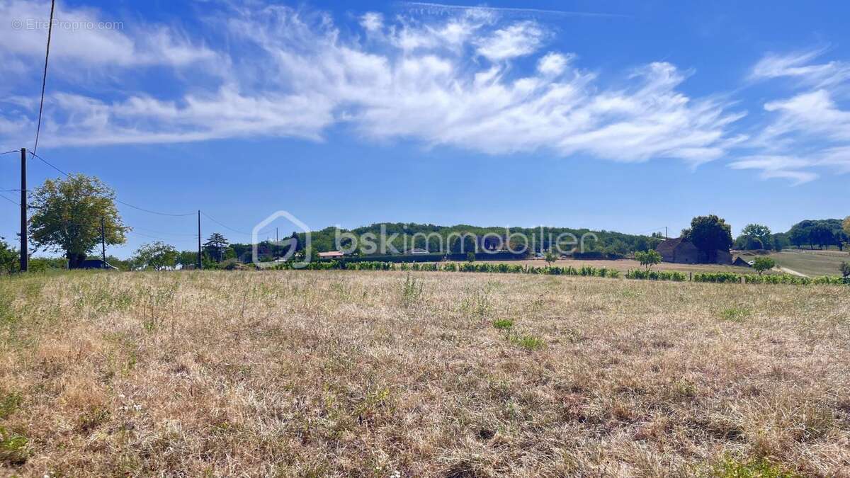 Terrain constructible avec vue panoramique – 3 382 m² – Nailhac (24390) - photo 6