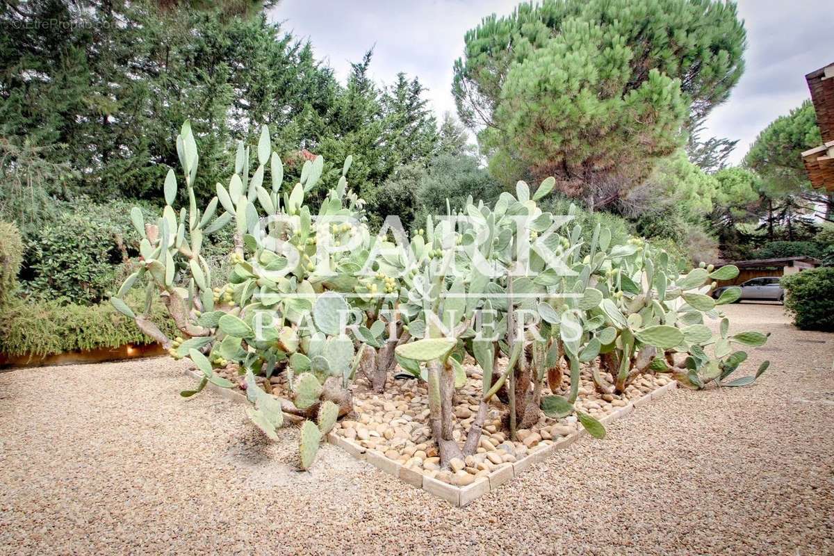 Maison à RAMATUELLE