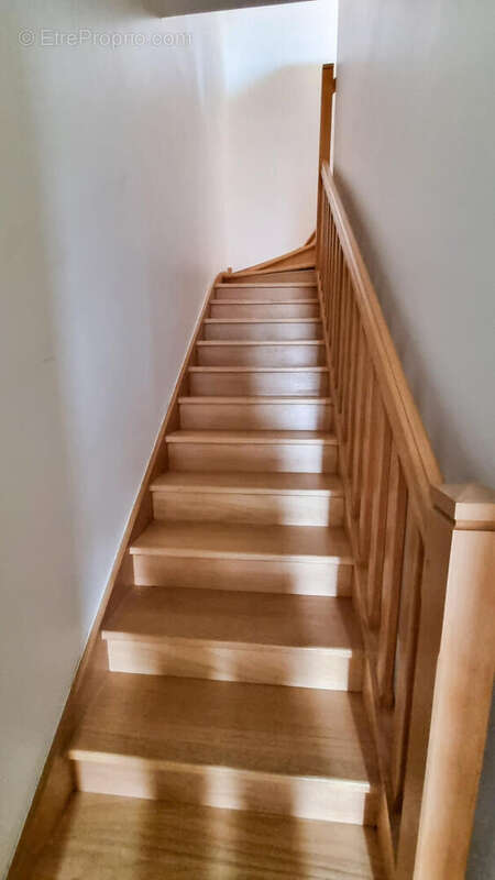 20251014151444 - Maison à MIREPOIX