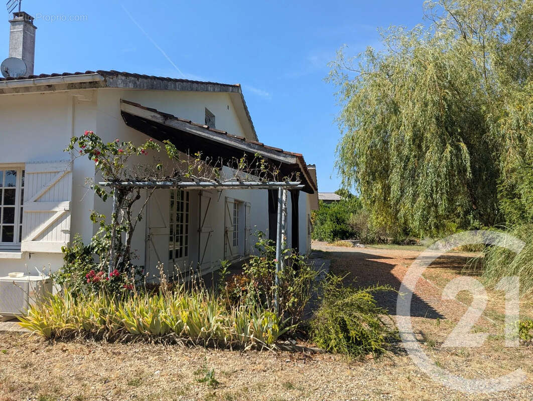 Maison 157 m² à Gaillac  - photo 4