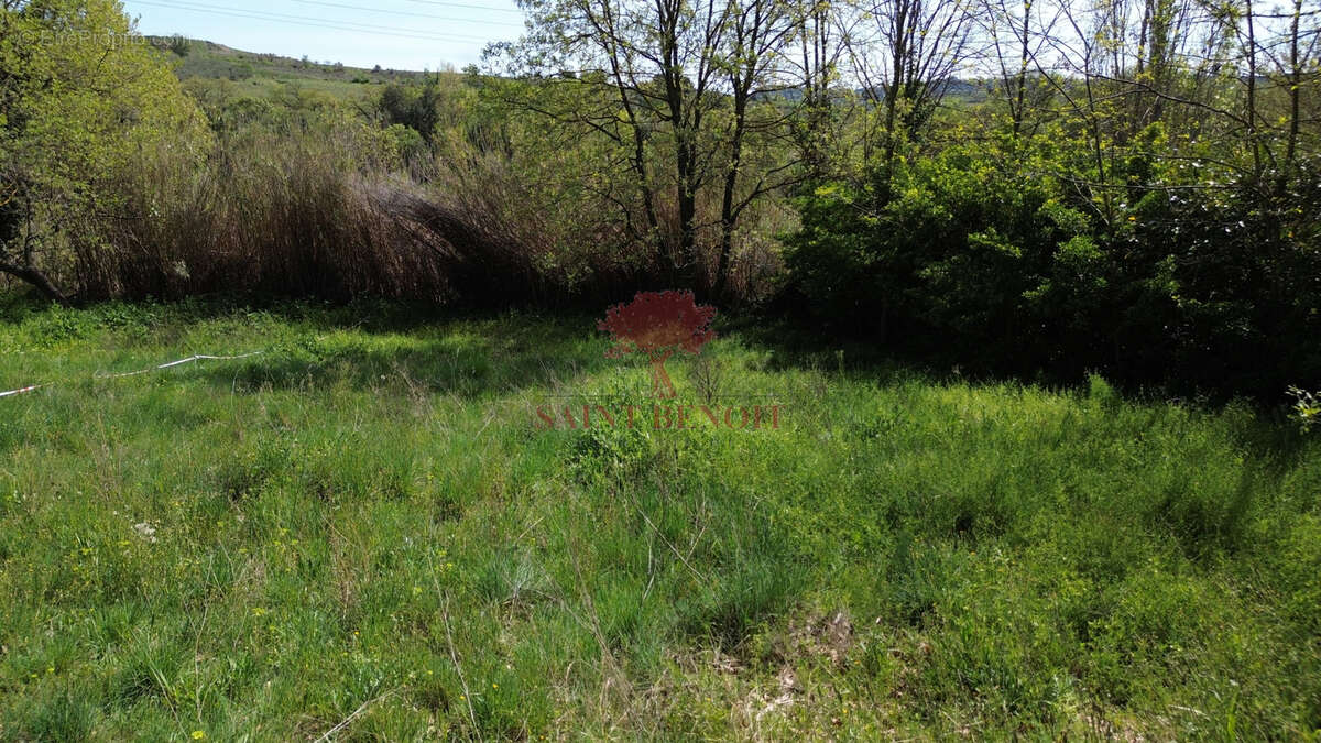 Terrain à PUILACHER