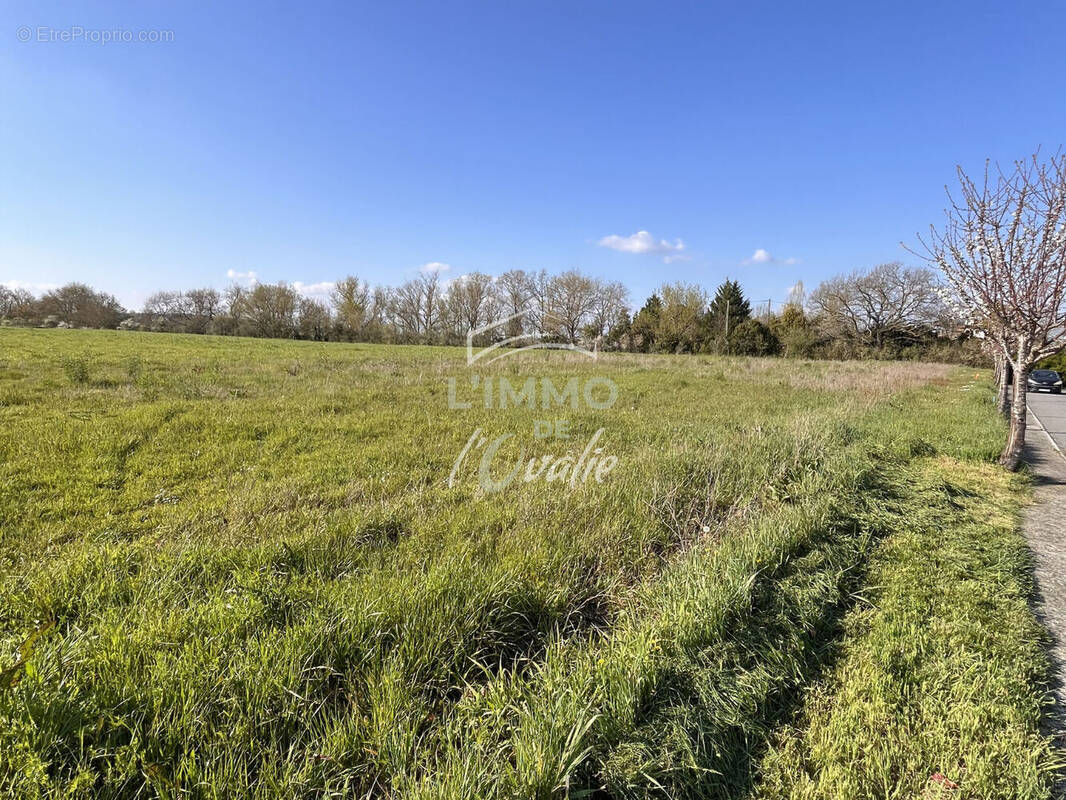 Terrain à LE BURGAUD