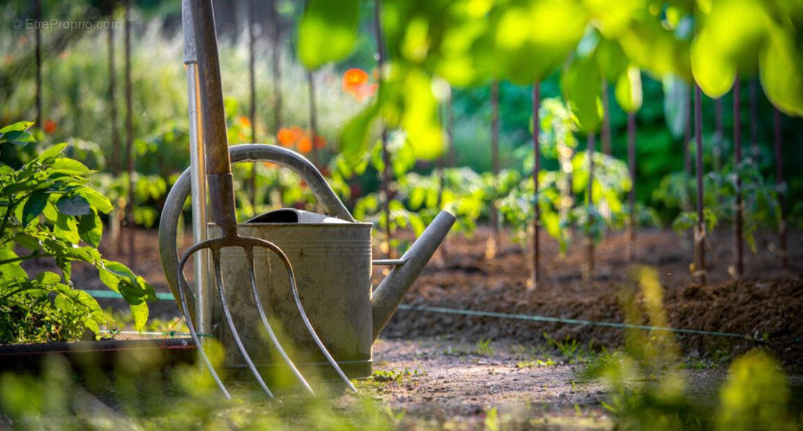 Terrain à PERPIGNAN
