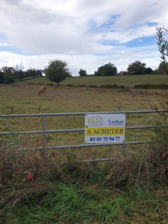 Terrain à ESSERTENNE