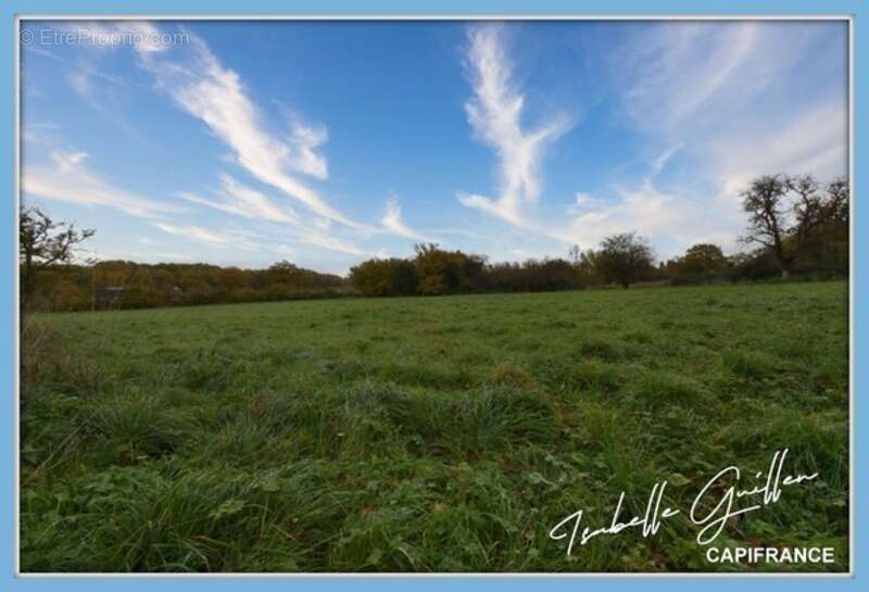 Terrain à SAINT-SATURNIN