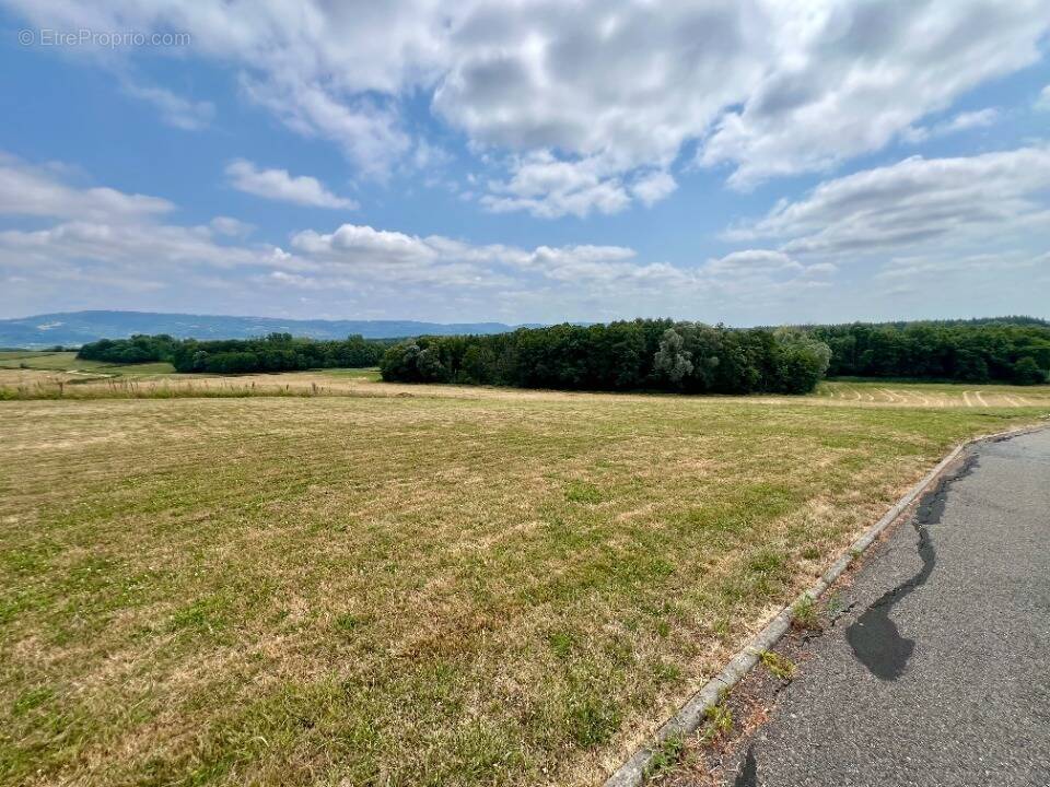 Terrain à LE MIROIR