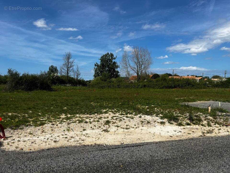 Terrain à NOTRE-DAME-DE-MONTS