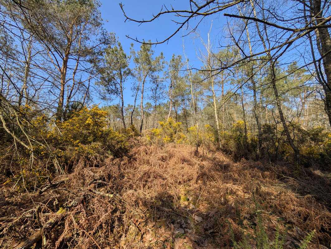 Terrain à CAMPENEAC