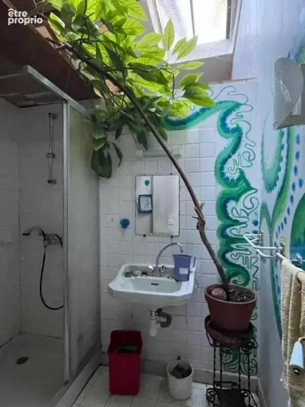 Maison Immeuble XVIIe avec jardin et petite boutique - photo 13