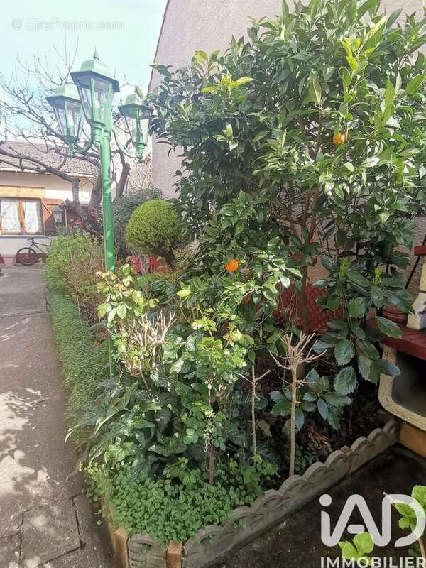 Photo 5 - Maison à VITRY-SUR-SEINE