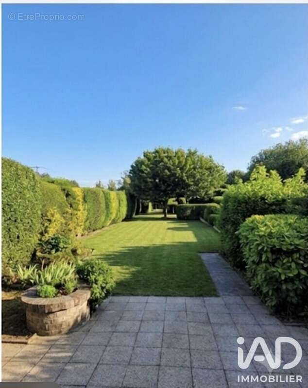 Photo 4 - Maison à DENAIN