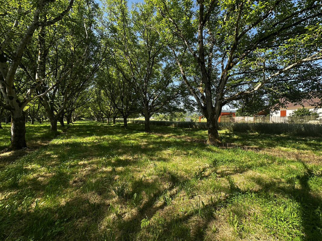 Terrain à TAURIAC