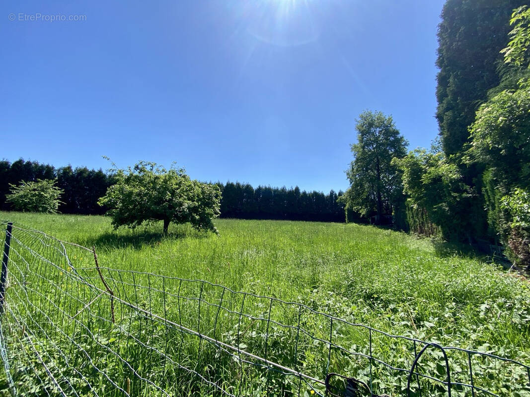 Terrain à MAUBEUGE