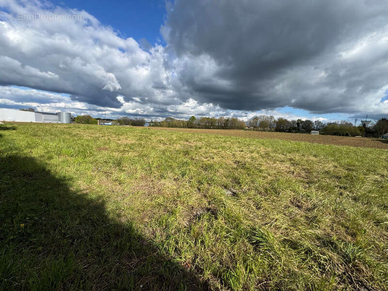 Terrain à SEICHES-SUR-LE-LOIR
