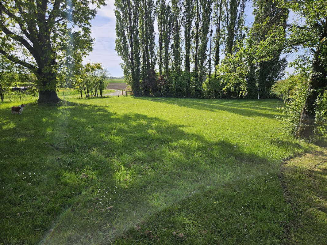 Maison à ROTT