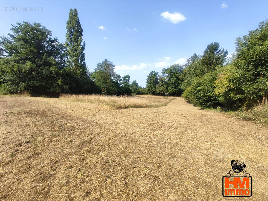 Terrain à LE VIGEN