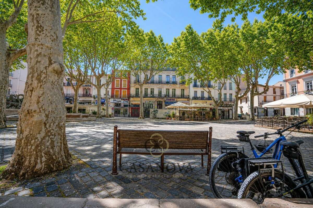 Commerce à SETE