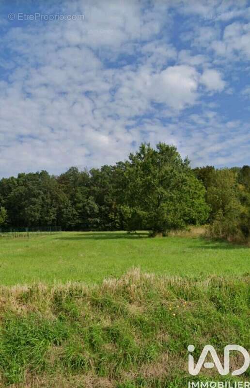 Photo 2 - Terrain à LA FERTE-GAUCHER