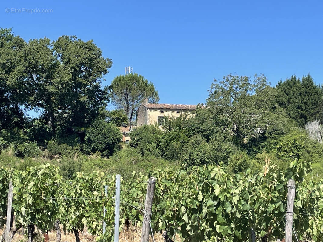 Maison à LES SALLES-DE-CASTILLON