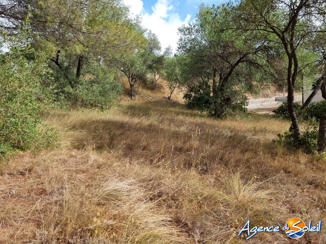 Terrain à LEZIGNAN-CORBIERES