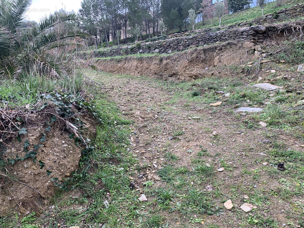 Terrain à PORT-VENDRES