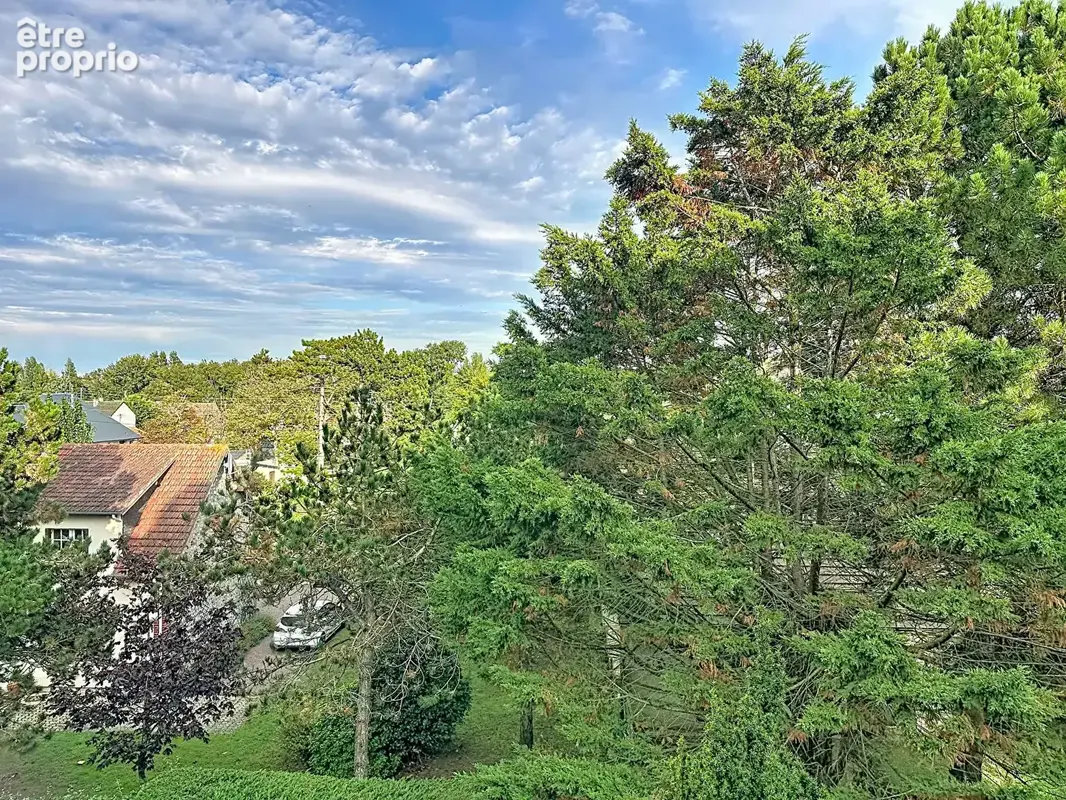 Studio Cabourg, environ 300 mètres de la mer ! - photo 4