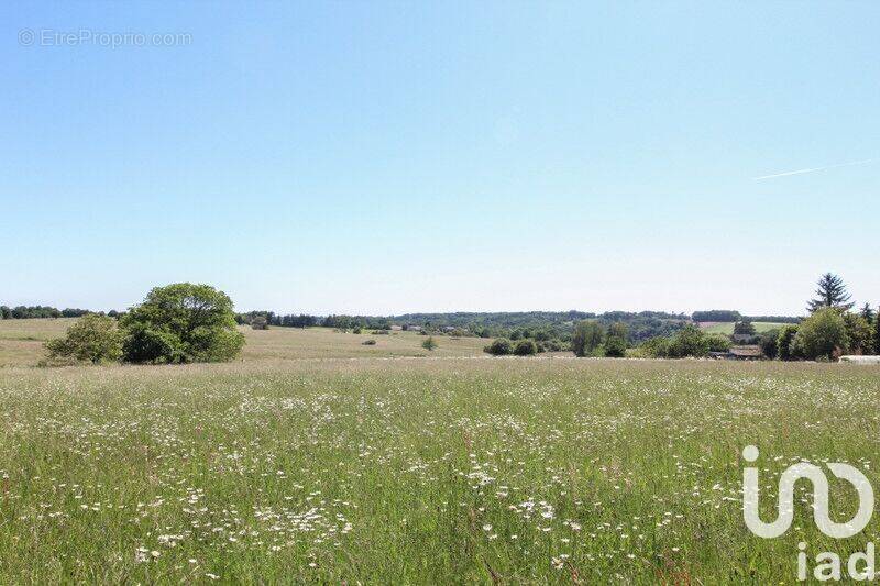 Photo 1 - Terrain à SAINT-JORY-DE-CHALAIS