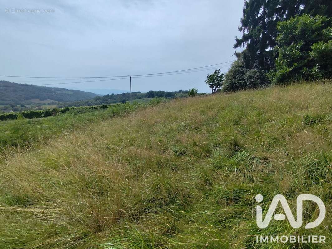 Terrain 1000 m² à Monein  - photo 3