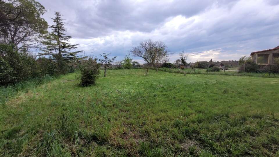 Terrain à SAINTE-CECILE-LES-VIGNES