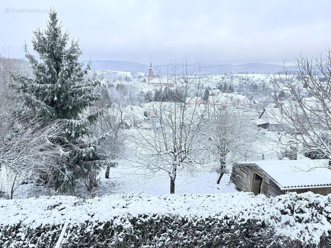 Photo 3 - Maison à REICHSHOFFEN