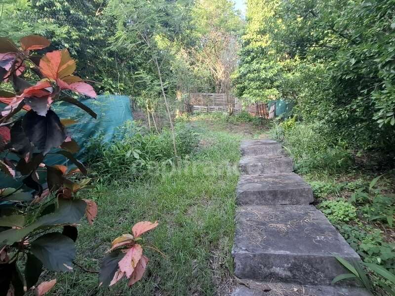 Maison à CASE-PILOTE